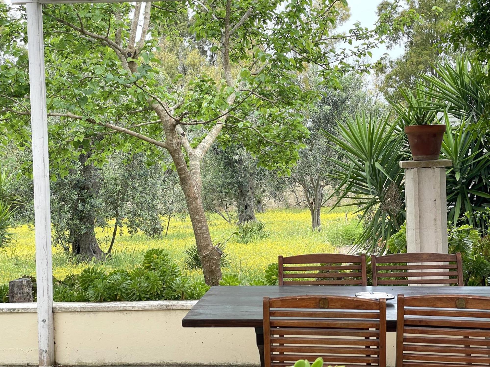 B&B Santa Venardia Gallipoli Kültér fotó